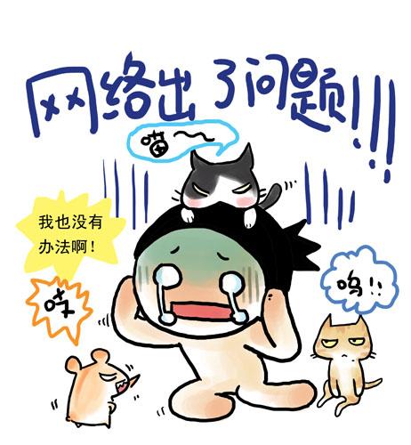 1531795363109640.jpg 2.jpg